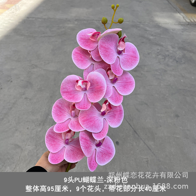 PU9 cabeza rosa oscuro