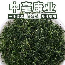 厂家批发散装蒲公英茶新货水洗蒲公英茶叶婆婆丁茶根花草茶花果