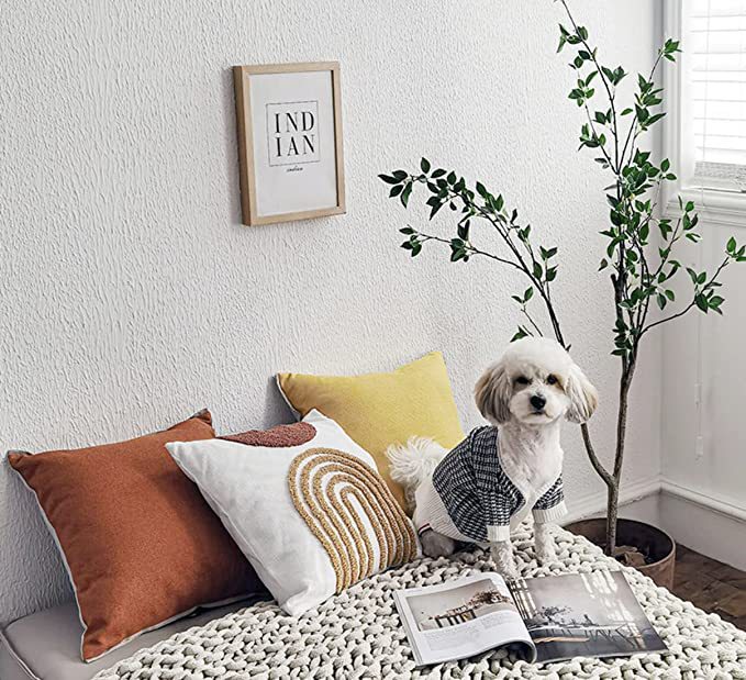 71zGbFfWsrL._AC_SX679_