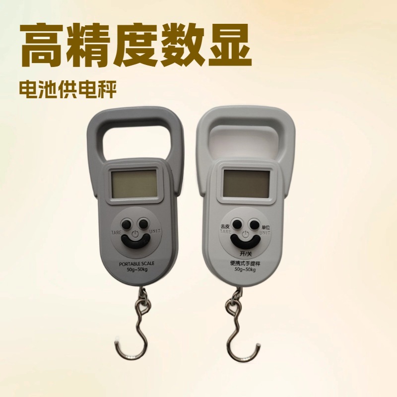 弹簧秤高精度手提称便捷式家用随身带小勾称小型手提多功能电子称