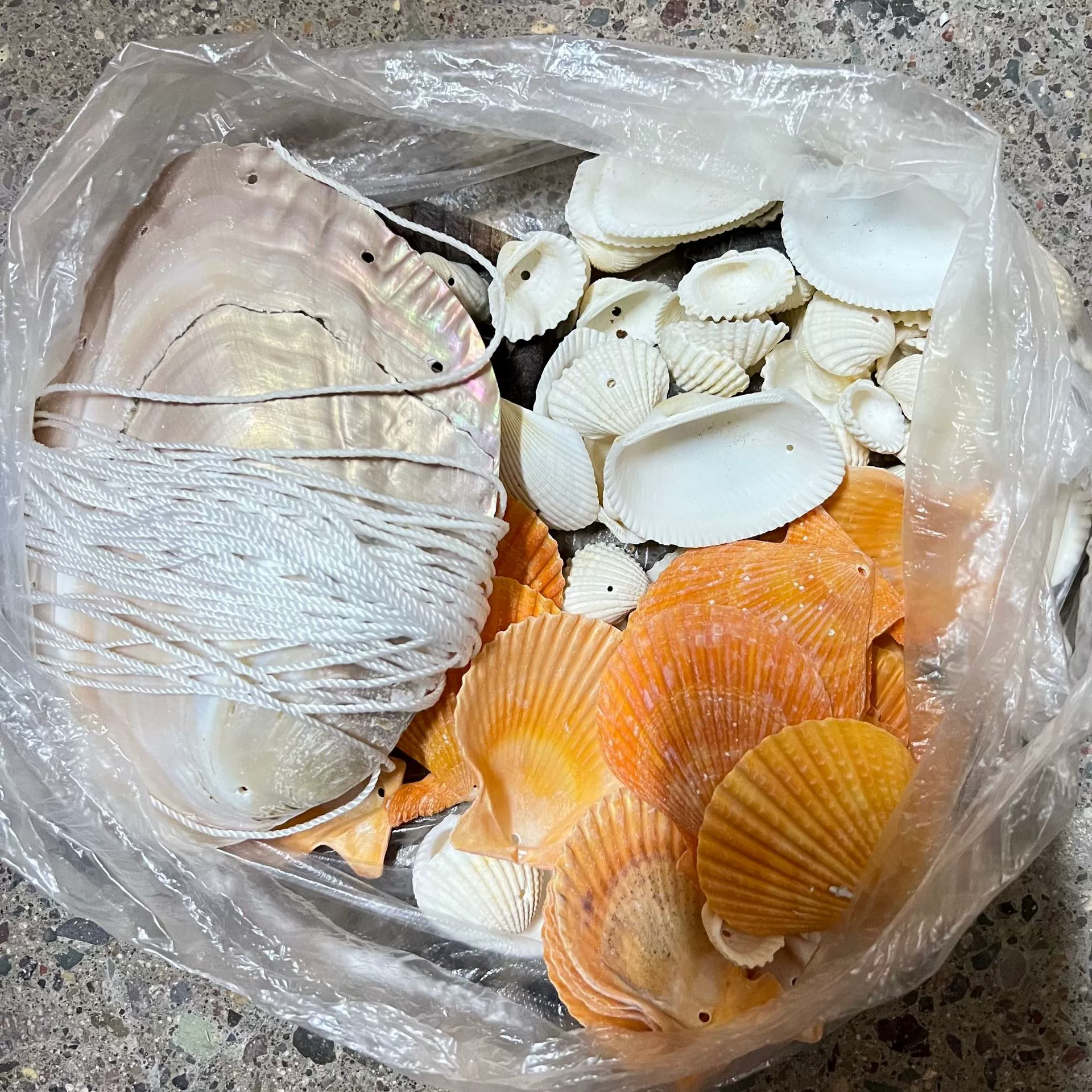 Комплект ракушки-колокольчики, натуральные ракушки для поделок, декоративная подвеска прибрежного стиля