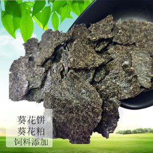 ��������l������ֲ������ϸߵ���������ψ@ˇ�Nֲ���Ͽ�����