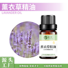 薰衣草精油新疆薰衣草精油蓝花薰衣草油报送码化妆品原料厂家直供
