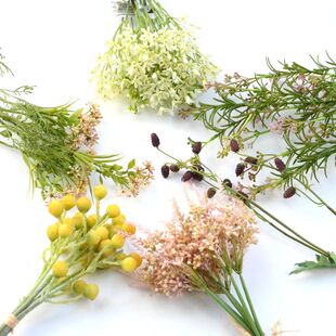 �ļ�����С�׾շ��滨�ջ��ҾӔ[��С�黨�廨��ĘӰ��g�b�Ұ��