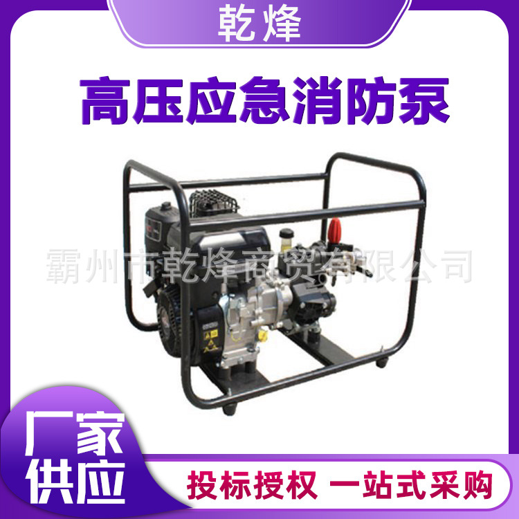 消防泵背负式森林消防灭火水泵大流量高压消防森林草原灭火水泵