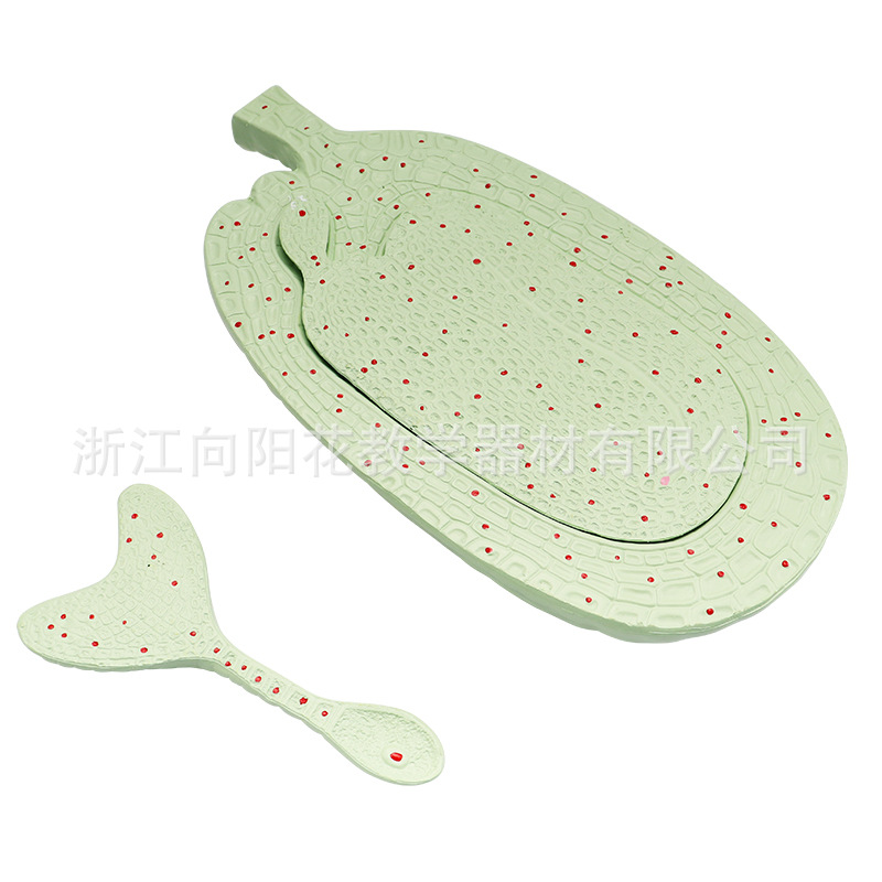 厂家直销SM-M43荠菜胚发育模型生物医疗教学模型