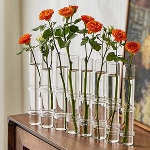 Creative Test Tube Vase Ins Style Hydroponic Plant Vessel Flower Arrangement Glass Tube Living Room Office Desktop Decoration