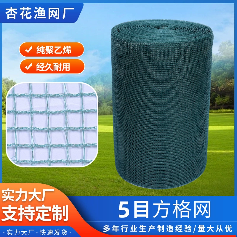 5-сетчатая квадратная рыболовная сеть, производитель ткани, оптовая продажа, настраиваемая коробка для рыболовной сети, большая речная размножающая сеть, сетка против побега, ПВХ рыболовная сеть