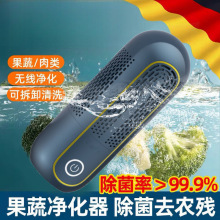 胶囊果蔬净化器美食材清洗机家用杀菌无线除农残自动洗菜机的厂家