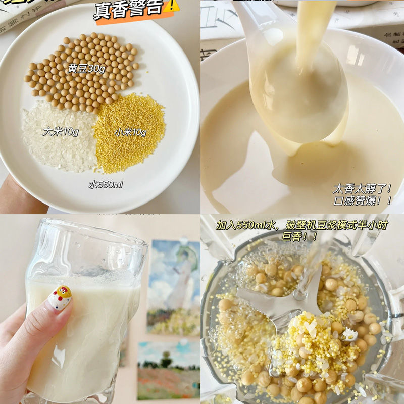 클래식 G 연회 31팩(대두, 쌀, 기장)