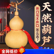 ��Ȼ���J�������J���Ї��Y�����_���T���T�͏d���P�[����̖����