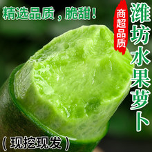 水果萝卜甜脆水果型潍坊萝卜正宗新鲜生吃青凤梨潍县冰淇淋萝卜