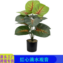 �羳����t�ĵ�ˮ�^���~�ӾGֲ�٘�Ҿӈ@�־G���b����辰���l