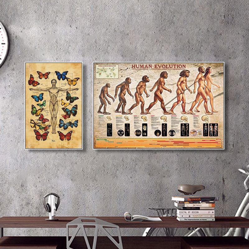 人类文明进化史装饰画学校教育科普挂画生物骨骼研究所医学院壁画