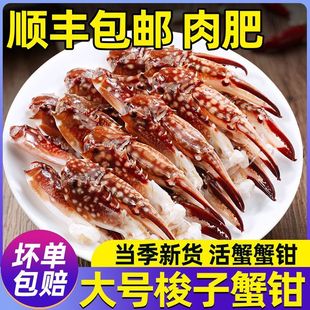 ��̖����зз�Q������r�зз�_�������l���з���Q����S���]