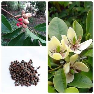 ��ľ�N�Ә�����Ц�N��������Ц���N�Ә�����Ц�N�Ӽt����Ц��N��