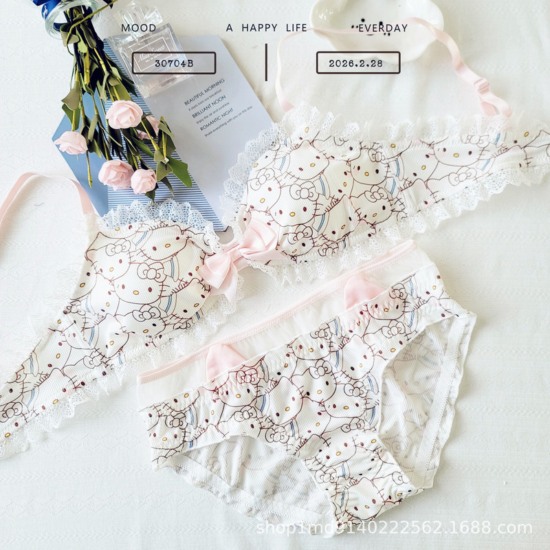 30704B Pink Hellokitty Couple Intimates Pure Lust Wind Thread Printing Girl French Bra Single Bra