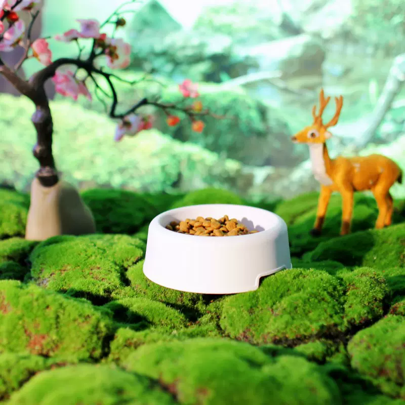 宠物食碗批发幼犬幼猫糖果色狗食碗塑料狗盆狗碗宠物狗狗单碗猫碗