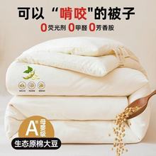 大豆纤维被加厚被芯保暖冬被居家学生宿舍冬天被子冬季棉被