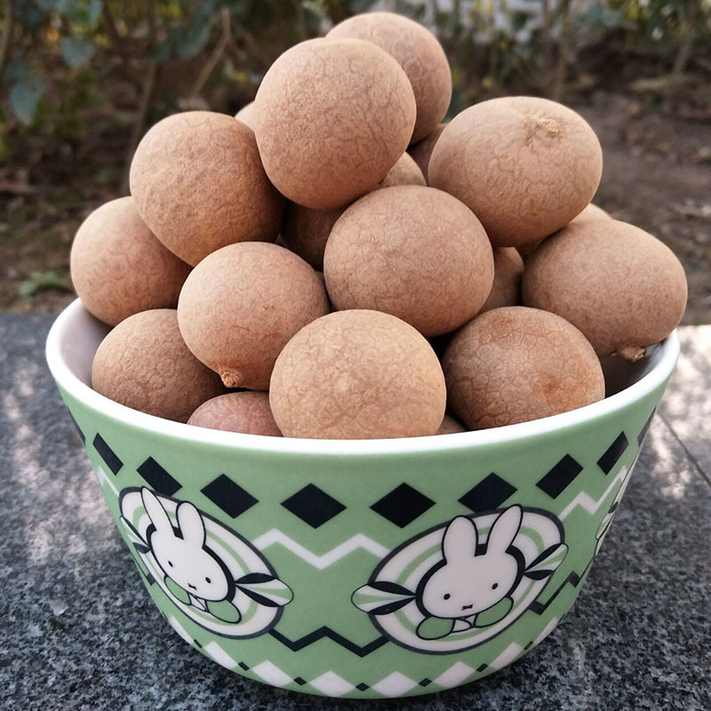 四川泸州特产新货干桂圆肉厚龙眼干泡茶包邮袋装批发包邮