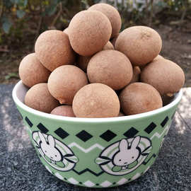 四川泸州特产新货干桂圆肉厚龙眼干泡茶包邮袋装批发包邮