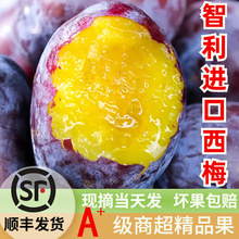 ��S������÷���rˮ��5���b���m���������Ӵ����������Fժ�F�l