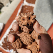 �]���^ ����� ӡ�����쮐�κ��������ְѼ���������һ�����ܶ�