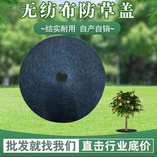 �羳���ϻ����@���ݲ�   ���B�@��͸��ë�ֳ��ݲ�   �A�Οo������