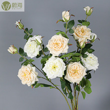 ���浥֧2ͷǾޱ��õ�廨����װ��װ�ΰڼ�װ�β廨�ٻ�������
