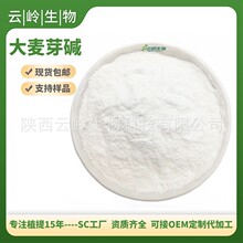 ����ѿ�|����ѿ��ȡ��539-15-1Hordenine98%녎X����F؛��ѿ�|