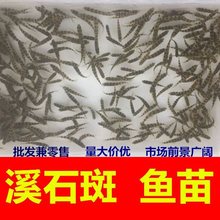 ⴽ~絭ˮʯ~СϪʯ~^p~ˮ~BֳϪ~ˮ~