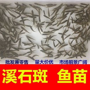 �ⴽ�~�絭ˮʯ���~СϪʯ���~���^�p�~��ˮ�~�BֳϪ�~��ˮ�~