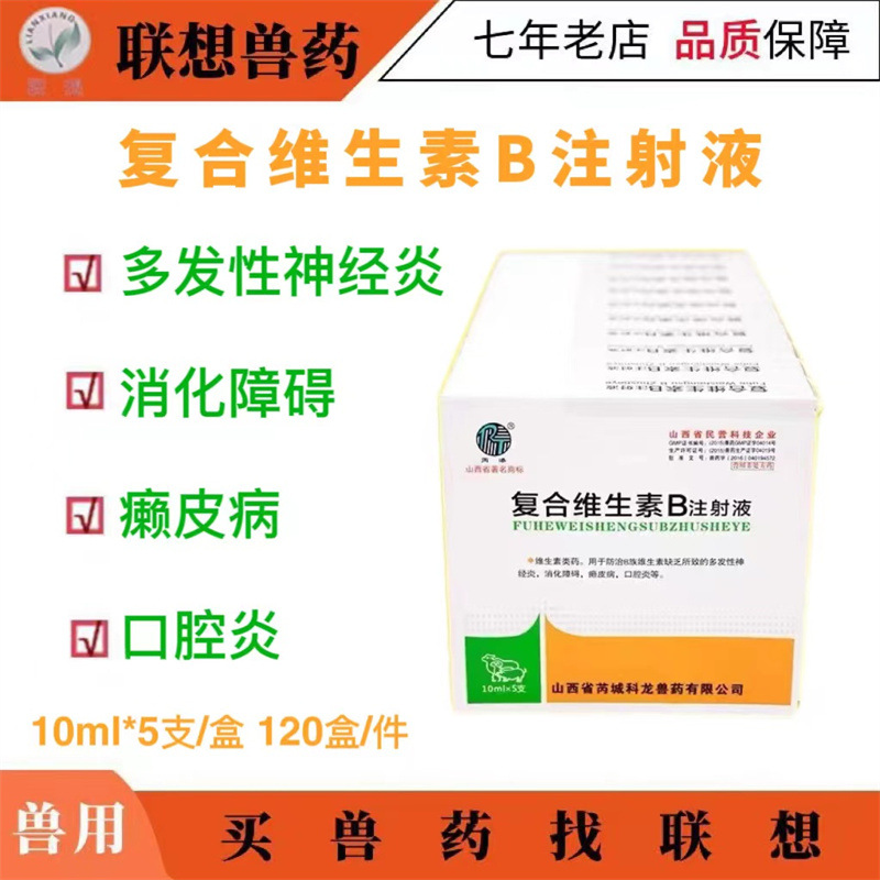复合维生素B注射液 山西芮城科龙 10ML*5支/盒 120盒/件
