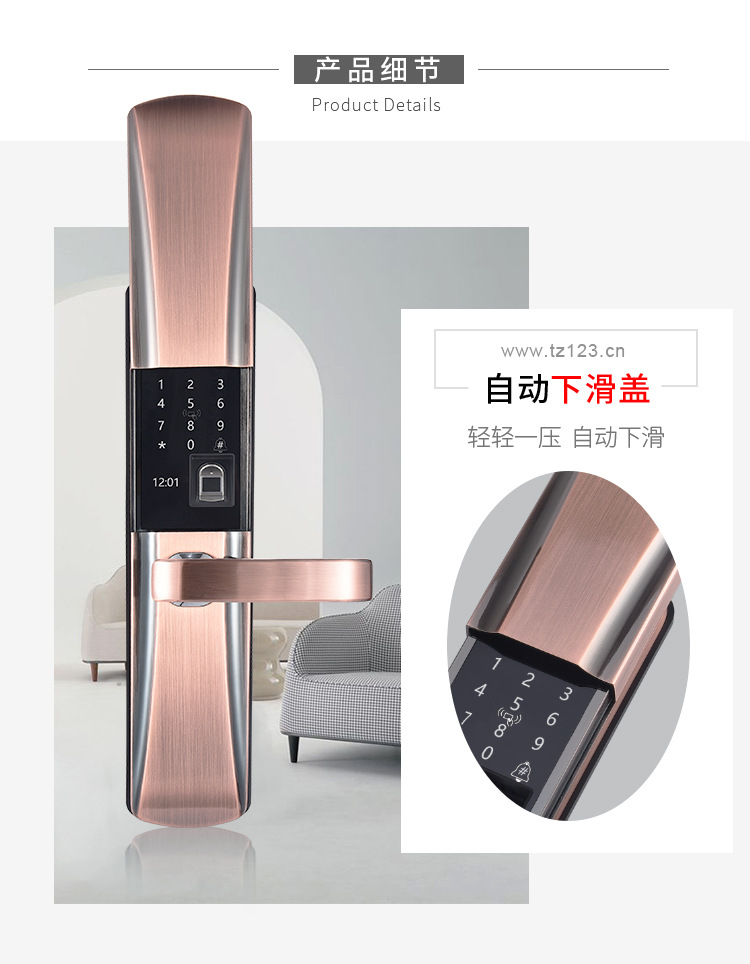 详情4