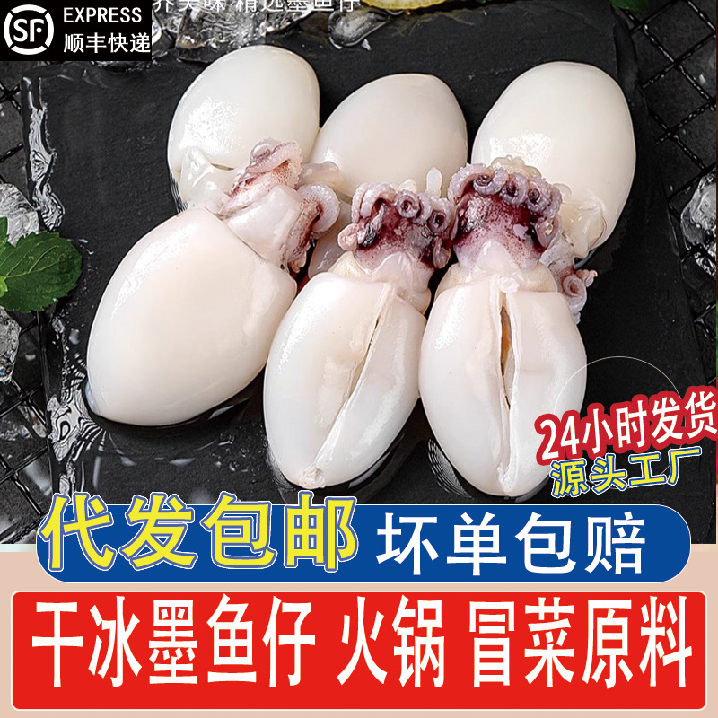 墨鱼仔生鲜冷冻新鲜小墨鱼仔迷你小墨鱼乌贼鲜活去皮去内脏商用