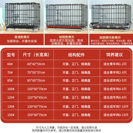 鸡笼子家用加粗大号养殖笼鸡舍鸡笼鸭笼鹅笼狗笼自动滚蛋鸡笼清新