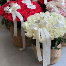 520�¿�ݾ��@������@�r�������b������@�L�پ��͹Ų廨���@