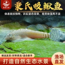 �������qԭ�����q�~���������q��ˮ�~�坍����ח������~�^�p�~