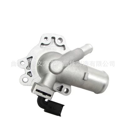 Thermostat Assembly H15T007-0202, Thermostat