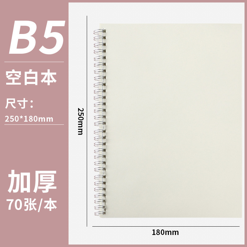 B5-blank (10 copias)