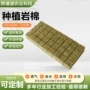 定制农用种植岩棉育苗块