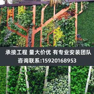 �Gֲ�����������ȼֲ����b��������ϼ��ܼٲ�ƺ�����T�^����