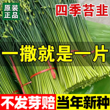 ̦N̦·NӾ²߲ѷNȫļ̨ͥԺ߲˷N