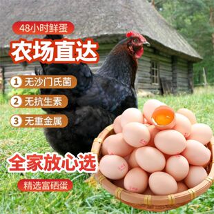 �r�Ҹ����u��40ö*50g���r���u���F��F�l���u��50ö*50g����