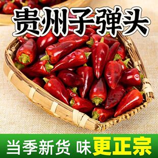 �������ӏ��^�������������Ʒ���㳯�콷�t������偸��ϟ�偌���