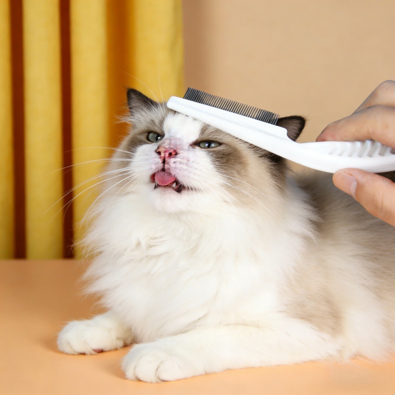 Pein de pulga para gatos, cepillo de acero para mascotas, cepillo de pulgas para perros, limpiador de pein de dientes densos para perros