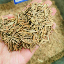 ��σ��xɽ؛--���w�