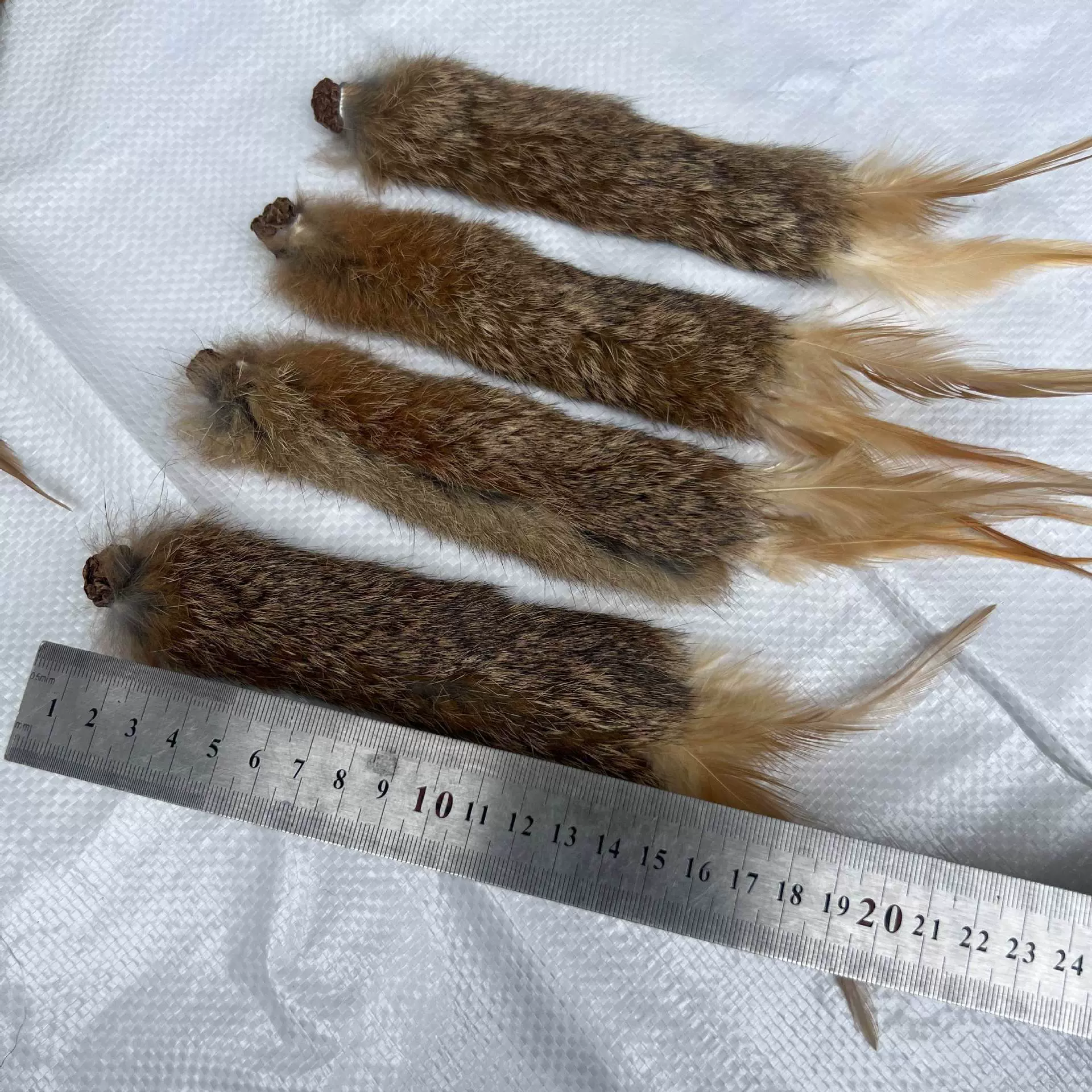 天然兔毛尾巴羽毛虫瘿果气味猫咪丰容玩具闻嗅自嗨解闷互动兔尾巴