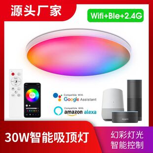 Smart Wifi Bluetooth Remote Control Rgbcw Dimming and Color Alexa Voice Modern Ultra-Thin Simple Three-Proof Ceiling Lamp