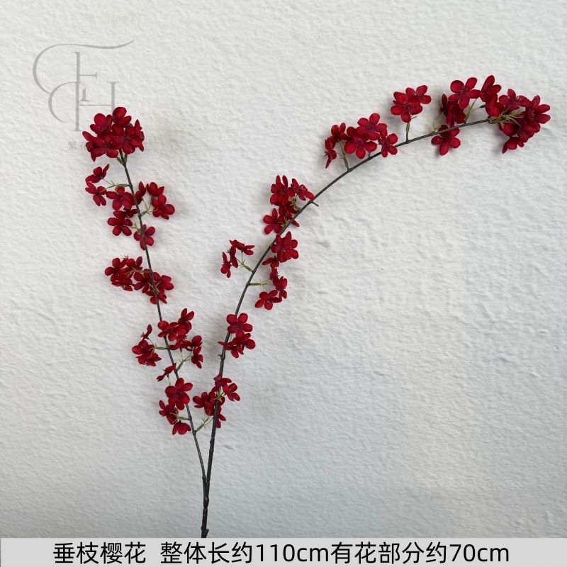 Flores de cerezo en ramas caídas